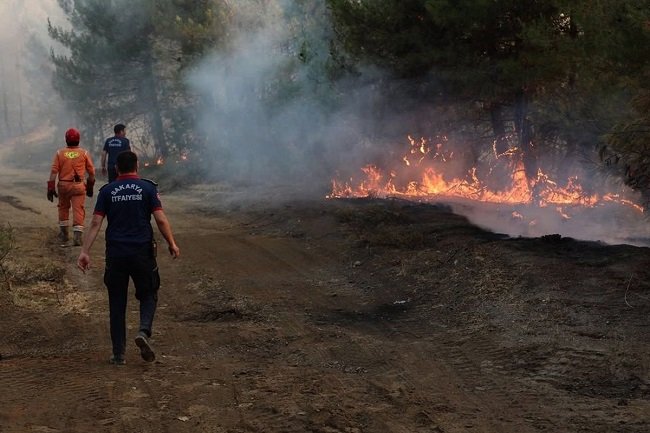 Türkiyədə, Hatay vilayətində yanğın yaşayış məntəqələrinə yaxınlaşıb, bu səbəbdən əhalinin təxliyəsi zəruri olub
