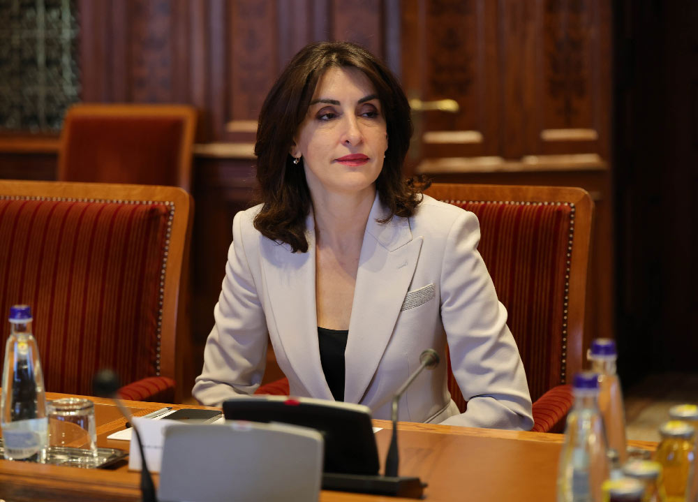 FM highlights Georgia’s economic achievements and its role in regional connectivity, garnering int'l support