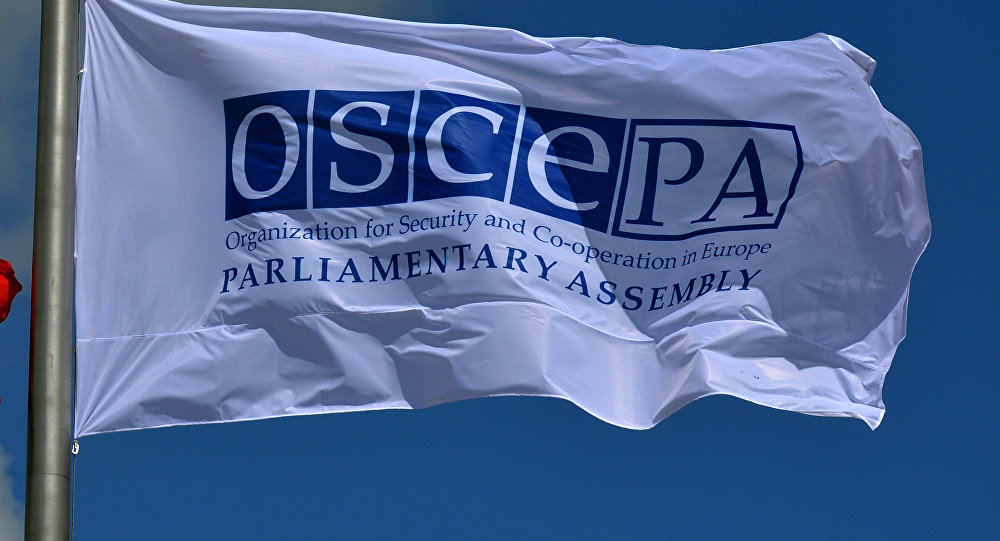 OSCE PA adopts Porto Declaration, implying resolution on Georgia