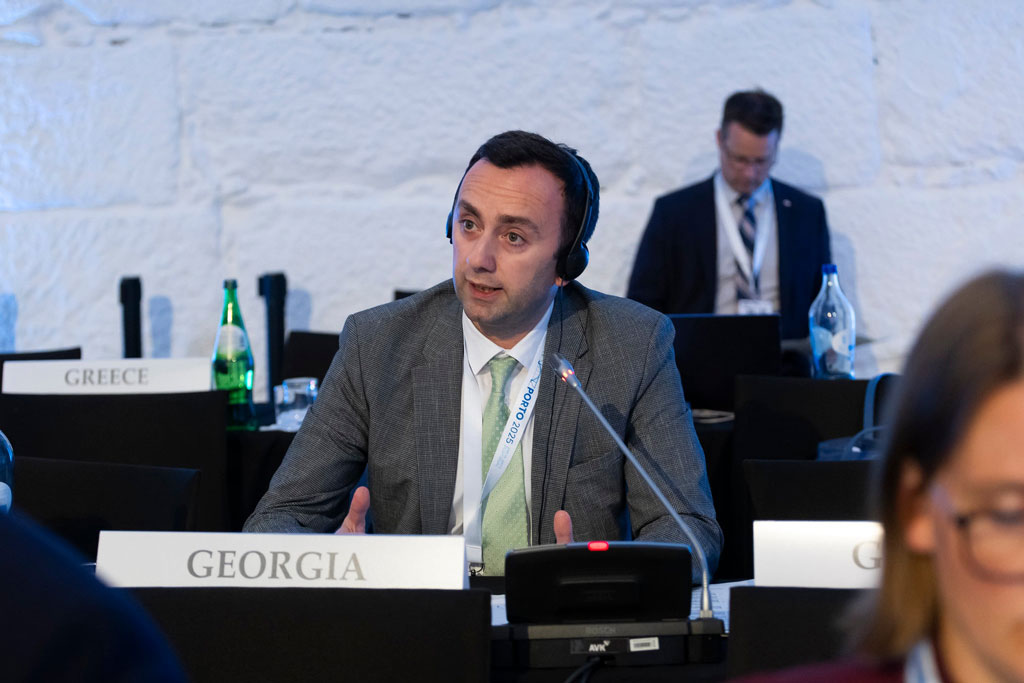 MP Makhashvili: You cannot demand respect for OSCE principles while ignoring their own conclusions