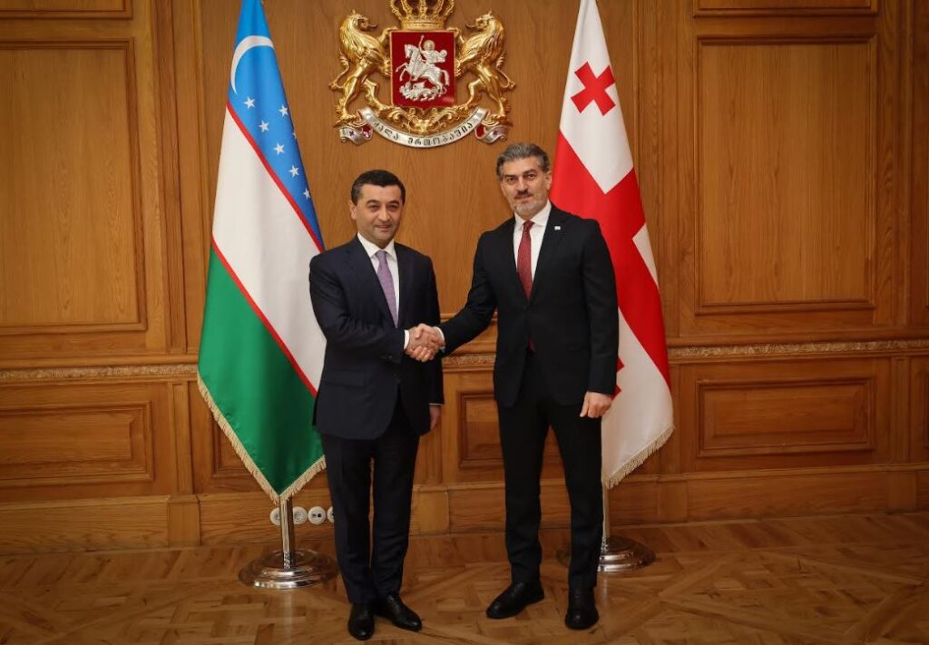 President Kavelashvili meets Uzbek Foreign Minister