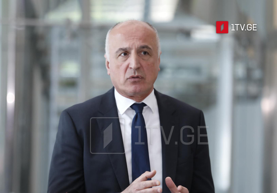 Lelo's Japaridze: Agree with President Zourabichvili, no elections on October 4 — this is battle we must enter
