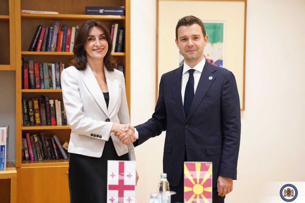 Georgian FM discusses bilateral, multilateral cooperation with North Macedonia's Foreign Minister