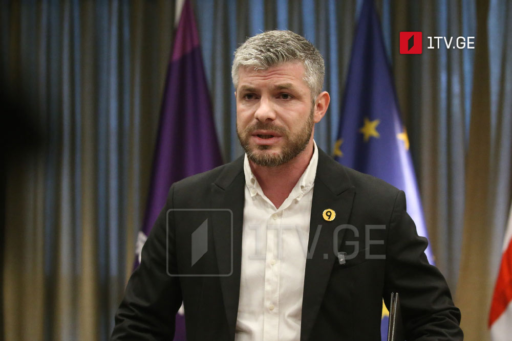 Lelo-Strong Georgia's Kupradze: We reject unfounded opposition accusations, refuse to oppose opposition