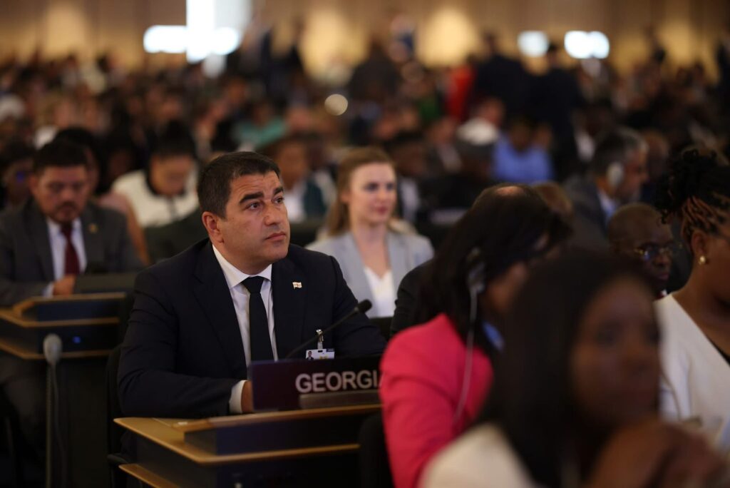 Şalva Papuaşvili - Müharibə və işğal təcrübəsinə baxmayaraq, Gürcüstan sülh, islahatlar, demokratik inkişaf və innovasiya yolunu seçib