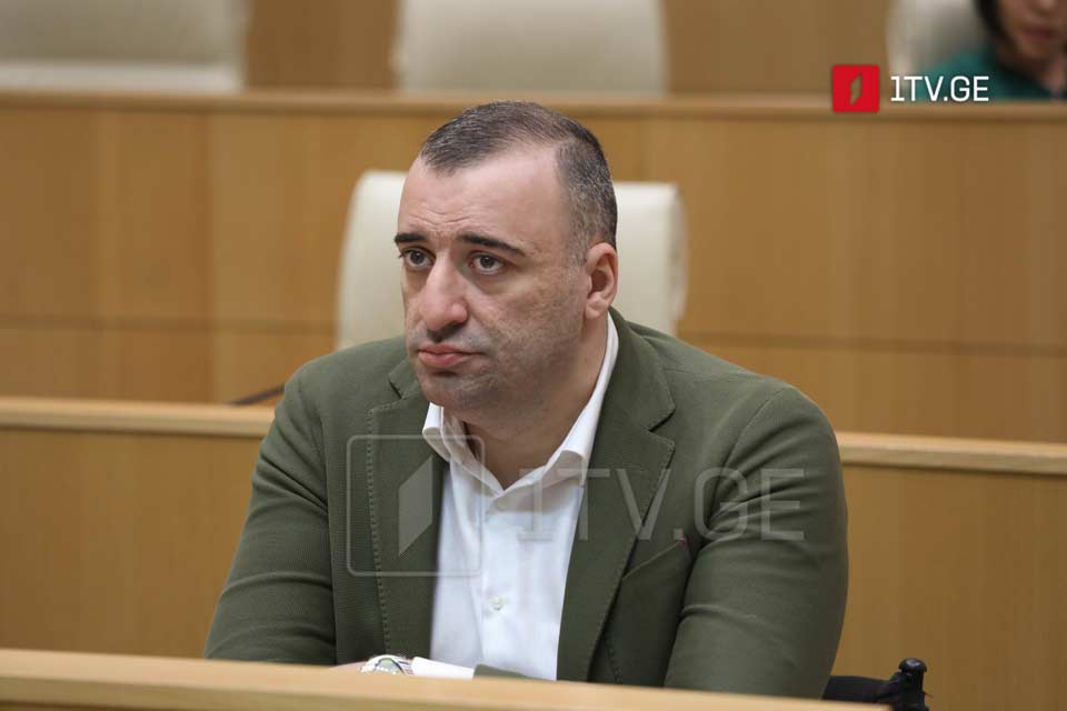 MP Rati Ionatamishvili labels UNM "criminal syndicate", accuses its donor Lasha Tsanava of illicit funds