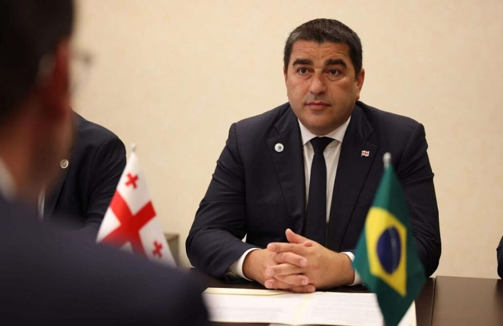 Georgian Speaker meets with President of Chamber of Deputies of Brazil
