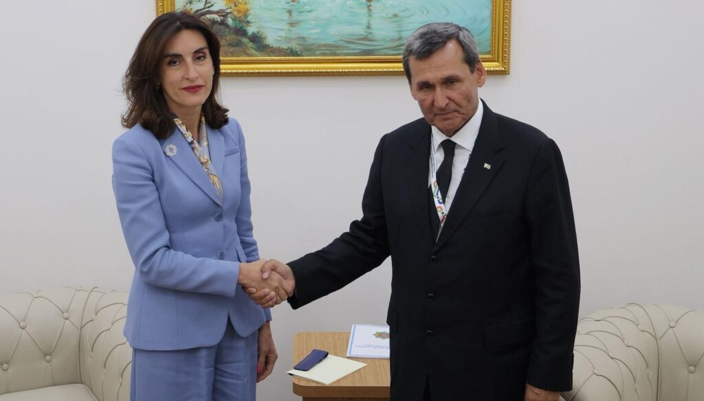 Georgian FM meets Turkmenistan's Foreign Minister