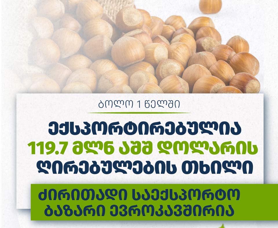 Georgia's hazelnut exports surge: 18,200 tons shipped from August 2024 to July 2025, dominantly to EU