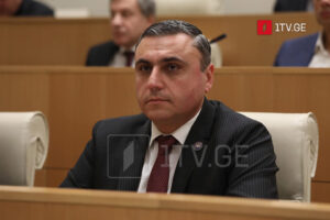 MP Matikashvili: Georgia is open and ready to resume dialogue with EU