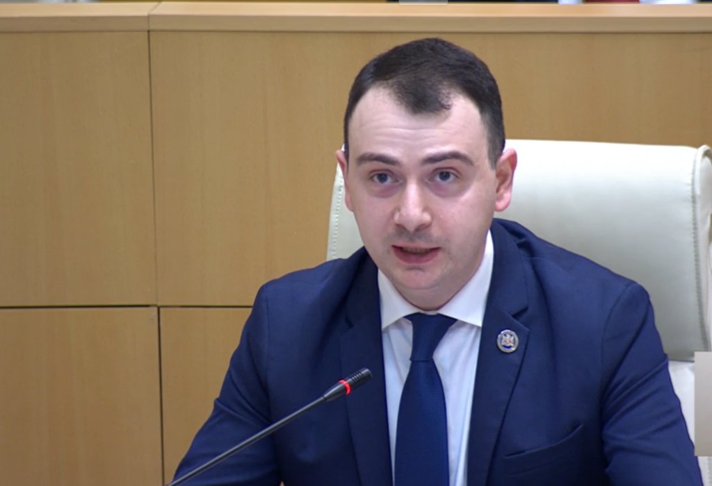 MP Chakvetadze: If visa liberalisation goes against family values and transparency, we defend these laws