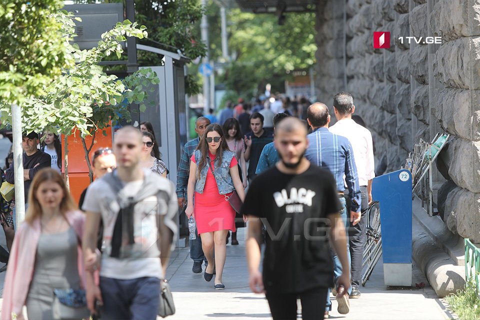Geostat publishes preliminary results of 2024 census: Georgia’s population reaches 3.657 million