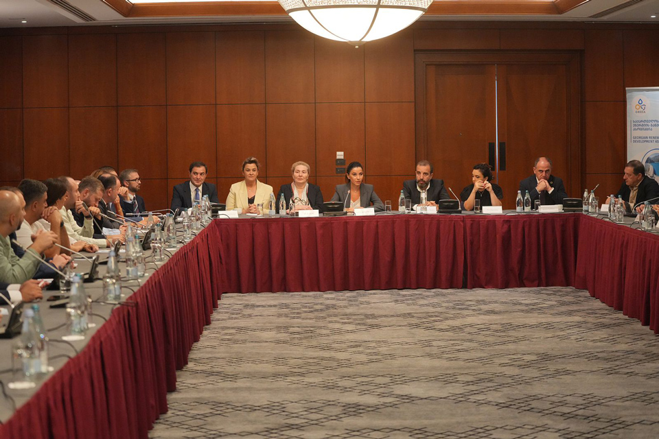 Economy Minister meets energy sector representatives