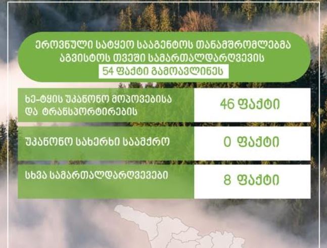 Milli Meşə Agentliyinin əməkdaşları avqust ayında 54 qanun pozuntusu aşkarlayıb