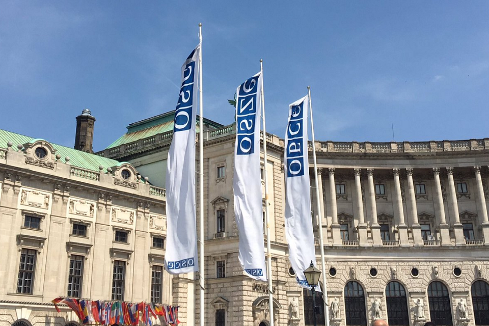OSCE participating states highlight deteriorating human rights situation in Georgia