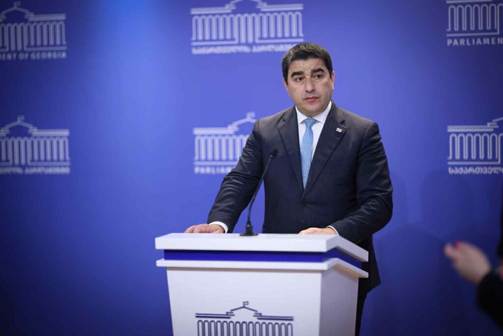 Speaker commends ex-PM Garibashvili for preventing Georgia from being dragged into war by Deep State
