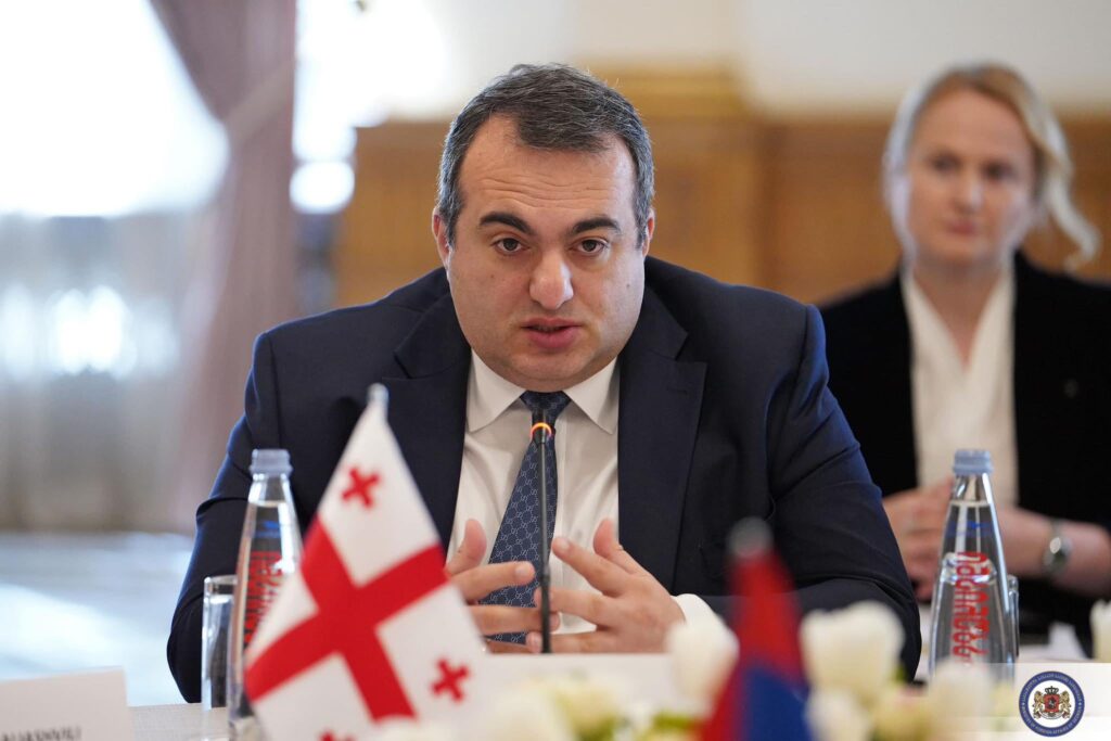 Deputy FM: Georgian government reaffirms commitment to conduct free, fair, and transparent local elections