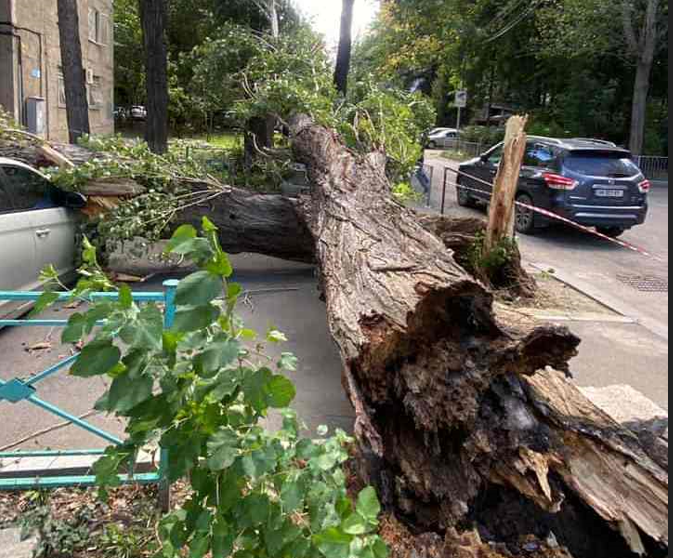 Strong winds cause disruptions in Tbilisi