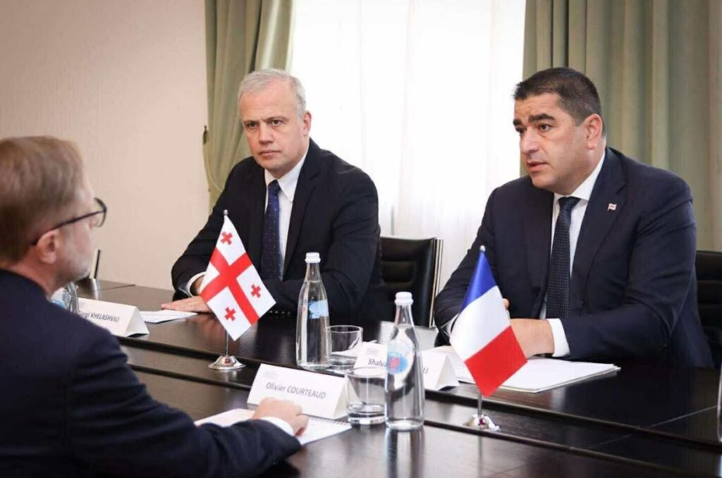 Georgian Parliament Speaker meets newly appointed French Ambassador