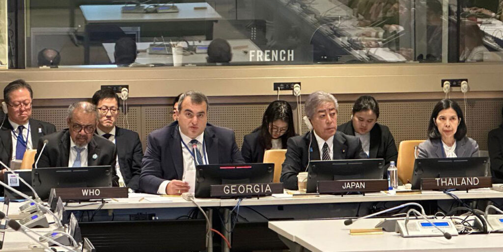 Deputy Foreign Minister addresses annual meeting of Group of Friends of Universal Health Coverage & Global Health