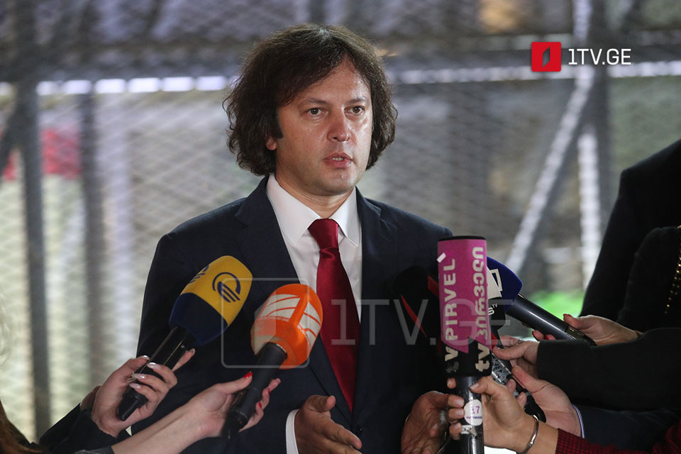 PM: No revolutionary plan will succeed in Georgia