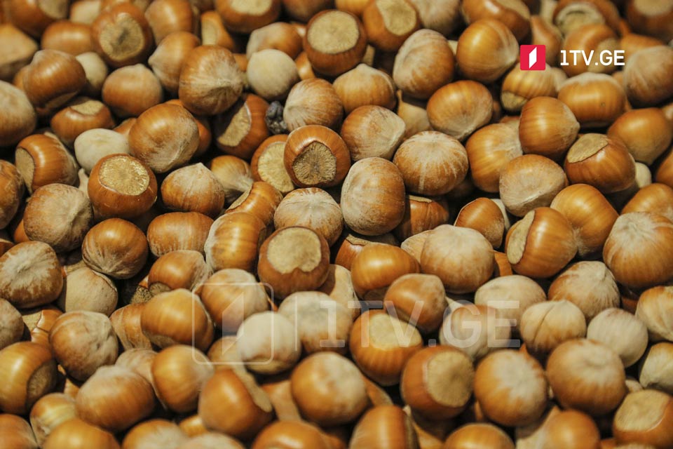 Agriculture: Hazelnut export prices surge by 39% in August-September 2025