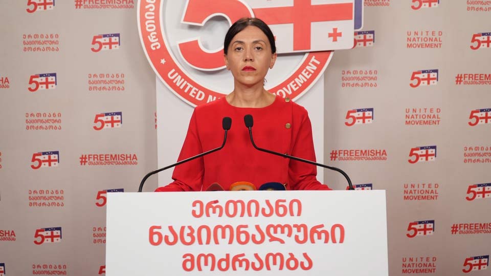 UNM's Tsitlidze declares local elections devoid of democratic norms; lesson for two opposition parties