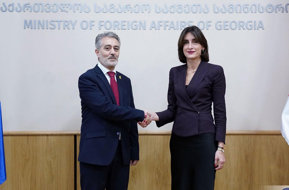 Georgia’s FM meets with Ambassador of Israel