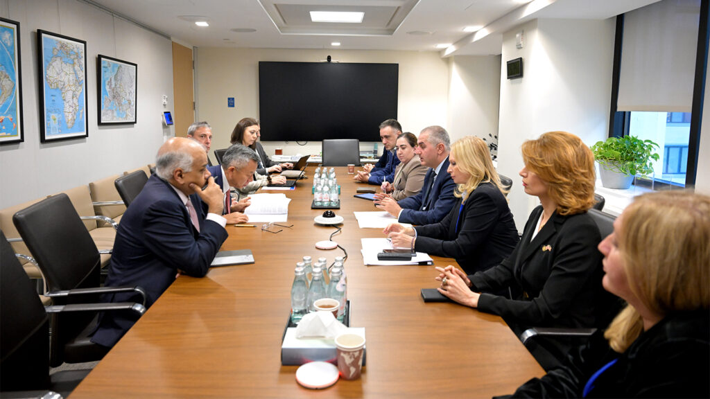 NBG President and Finance Minister meet IMF representatives