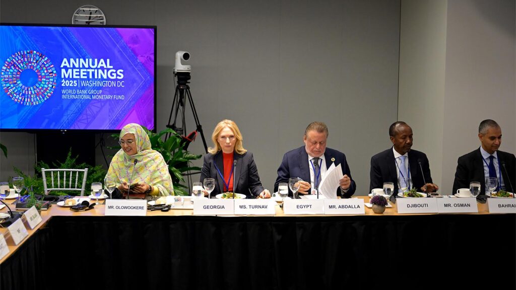 NBG President participates in IMF, WB event for Central Bank Governors