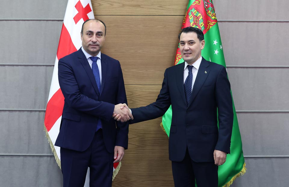 Interior Minister holds meeting with Turkmenistan’s Ambassador to Georgia