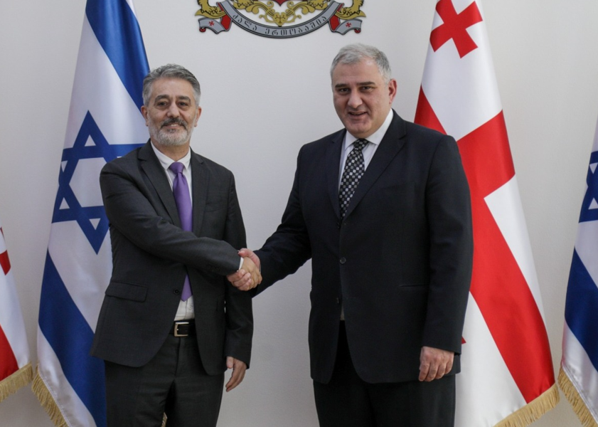 Mixeil Sarcveladze İsrail səfiri ilə görüşüb