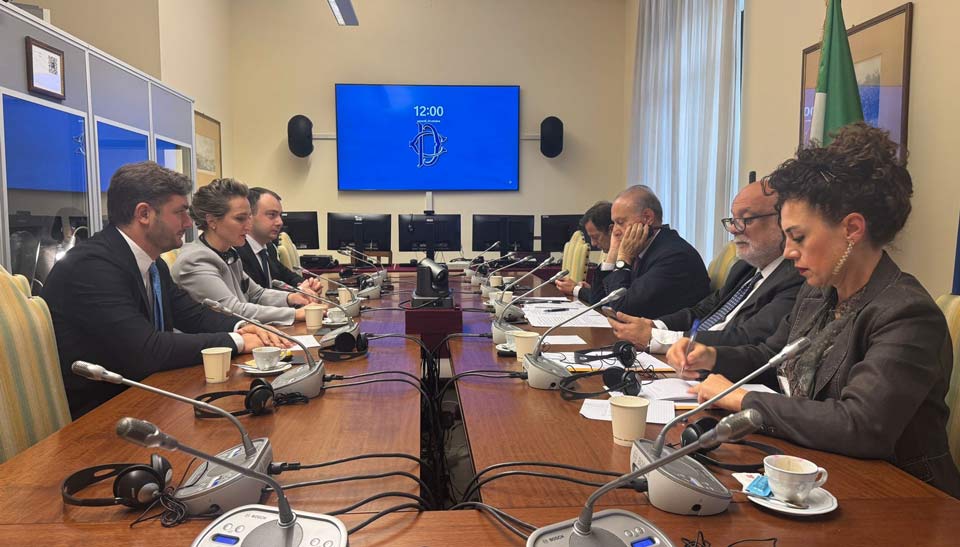 Վրաստանի խորհրդարանի կրթության, գիտության և երիտասարդության հարցերով կոմիտեի անդամները հանդիպել են Իտալիայի Քրիստոնեա-դեմոկրատական ​​կուսակցության առաջնորդ Լորենցո Չեզայի հետ