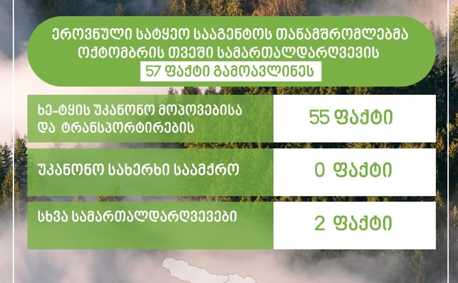 Milli Meşə Agentliyinin əməkdaşları cari ilin oktyabr ayında 57 qanun pozuntusu faktını aşkar ediblər