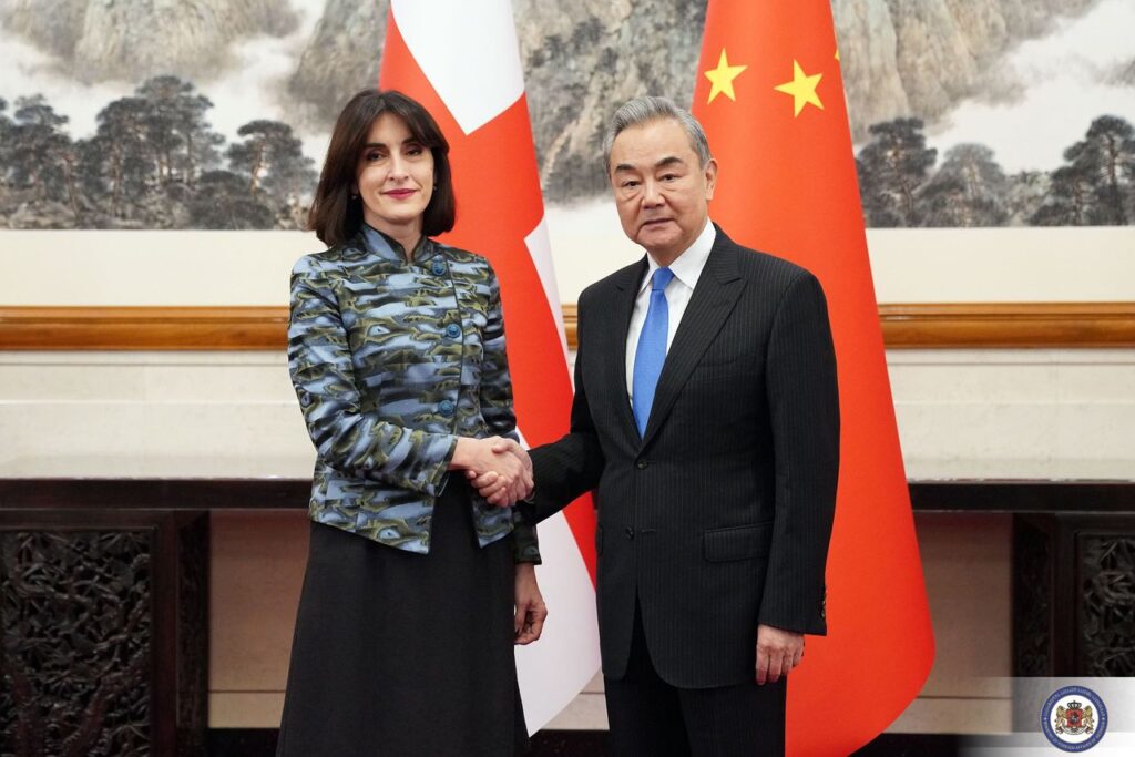 Georgian FM meets her Chinese colleague