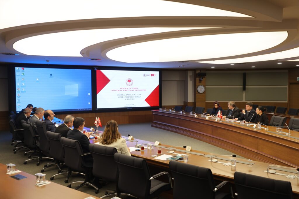 Infrastructure Ministry: Georgia and Türkiye strengthen collaboration in infrastructure development