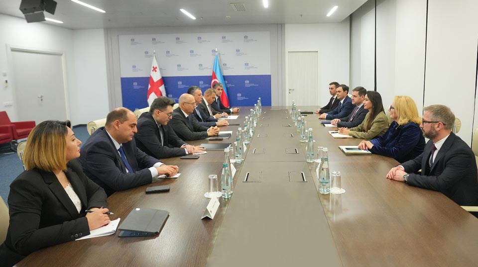 Economy Minister discusses energy cooperation with Azerbaijan’s Energy Minister