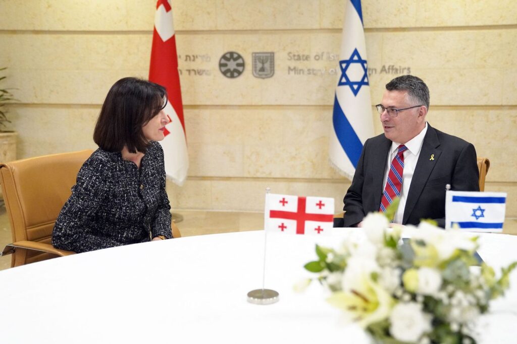 Georgian FM meets Israeli counterpart