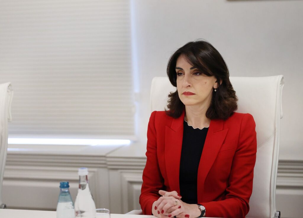 FM Botchorishvili emphasises  vital role of economic strength in Georgia’s EU accession journey