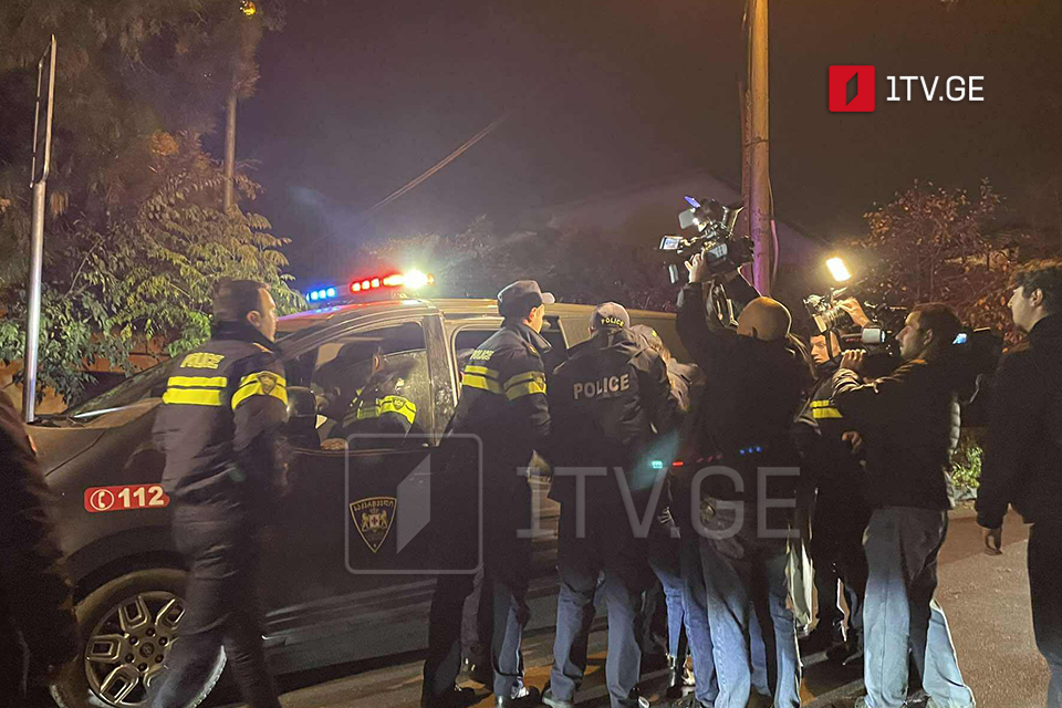 Police detain several participants at jailed protester Mate Devidze's support rally