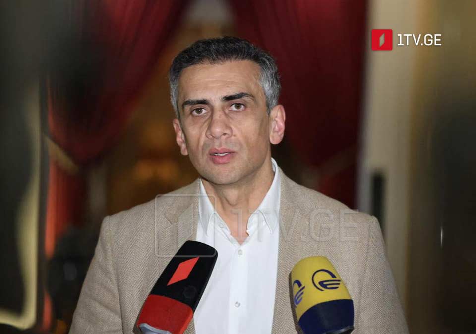 Vice-Speaker: Georgia–EU meeting postponed for unclear reasons, EU avoids talks as it lacks evidence for claims