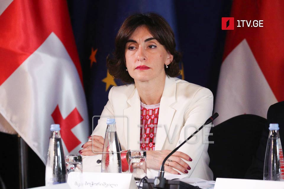 Georgian FM: Deeply concerned about orchestrated disinformation campaigns and coordinated actions against Georgia’s democratic institutions