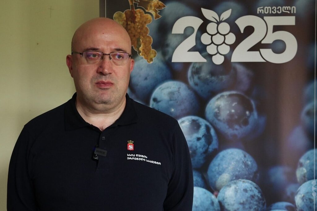 National Wine Agency aims to present highest-quality Georgian wine to international markets