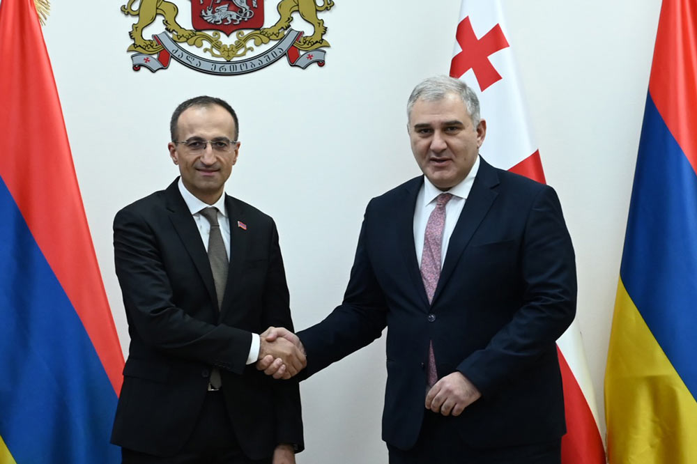 Georgian, Armenian Health Ministers meet