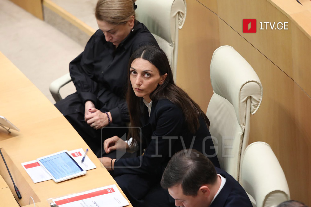 Gakharia for Georgia's Pilpani says GD to bear legal, political responsibility for all problems