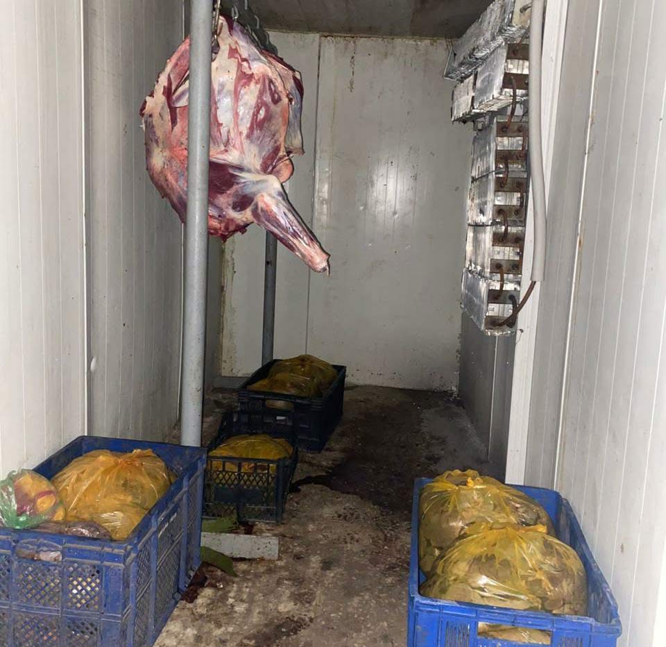 Milli Qida Agentliyi Tbilisi, Zestaponi və Vanidə qeyri-qanuni heyvan kəsimi məntəqələri aşkarlayıb