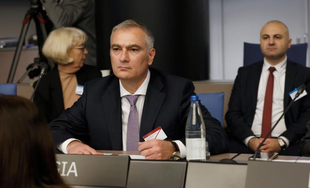 Paata Salia - Gürcüstan üçün miqrasiyanın idarə edilməsi bizim beynəlxalq hüquqi iştirakımızın əsas elementi və Avropa İttifaqına inteqrasiya gündəliyinin fundamental istiqamətlərindən biridir