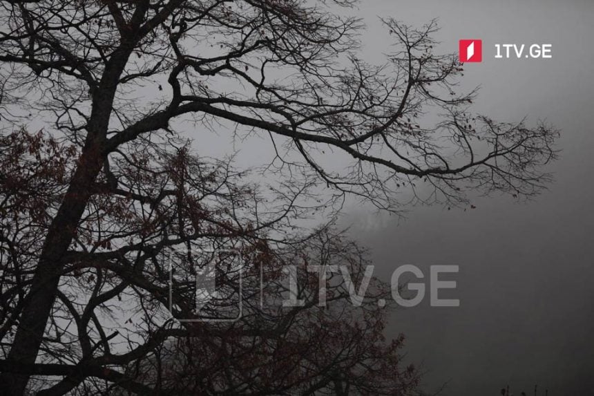 Heavy rain, blizzard and strong winds are forecasted in Georgia from December 12 to 14