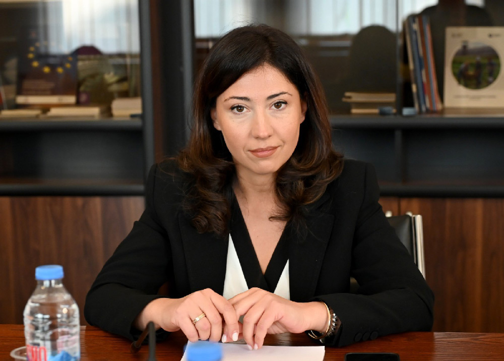 For Georgia's Khvedeliani: GD’s attempt to use foreign events for self-interest is 'ridiculous'