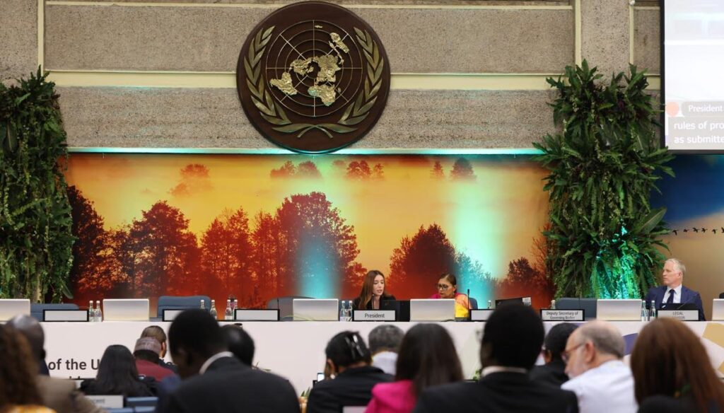 Deputy Environment Protection and Agriculture Minister elected UNEA-8 Vice-President